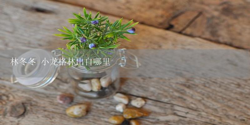 林冬冬 小龙格林出自哪里-17攻略
