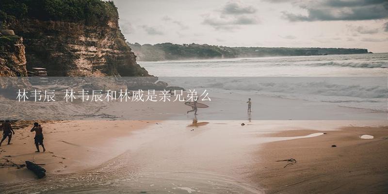 林韦辰 林韦辰和林威是亲兄弟么-17攻略