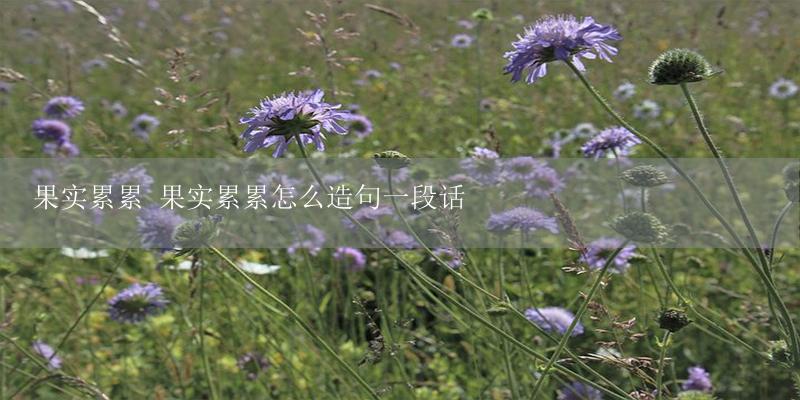 果实累累 果实累累怎么造句一段话-17攻略