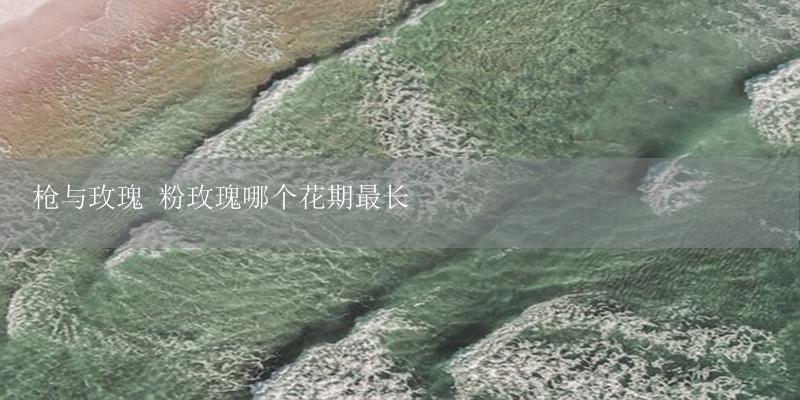 枪与玫瑰 粉玫瑰哪个花期最长-17攻略