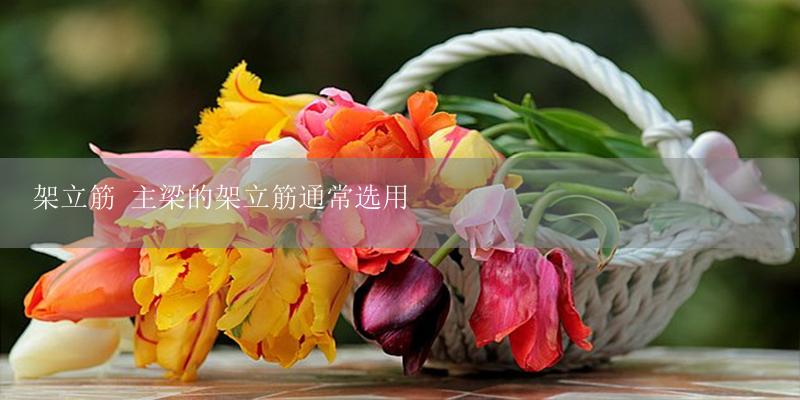 架立筋 主梁的架立筋通常选用-17攻略