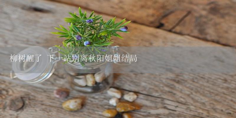 柳树醒了 下一站别离秋阳姐姐结局-17攻略