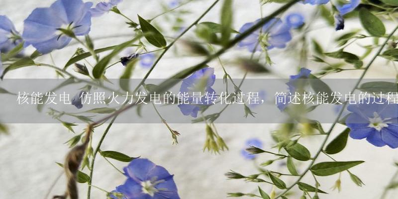 核能发电 仿照火力发电的能量转化过程,简述核能发电的过程-17攻略