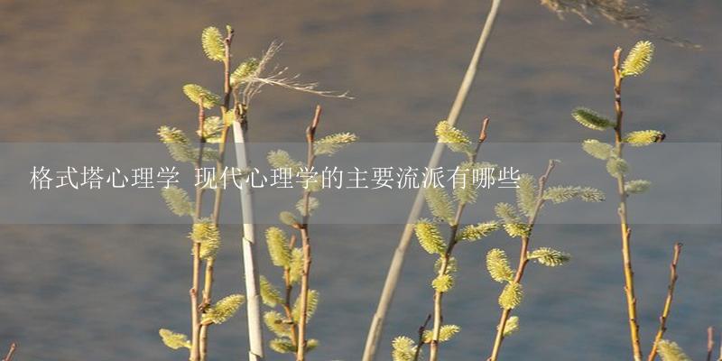 格式塔心理学 现代心理学的主要流派有哪些-17攻略