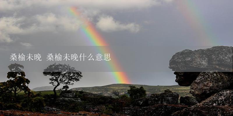 桑榆未晚 桑榆未晚什么意思-17攻略