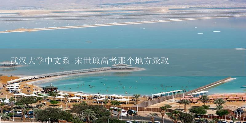 武汉大学中文系 宋世琼高考那个地方录取-17攻略