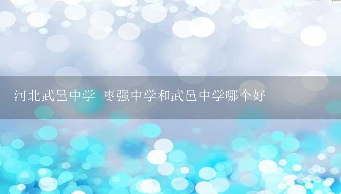 河北武邑中学 枣强中学和武邑中学哪个好-17攻略
