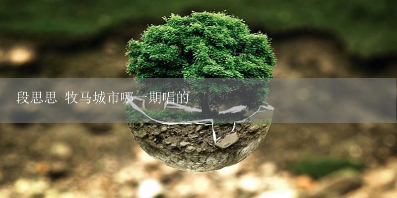 段思思 牧马城市哪一期唱的-17攻略