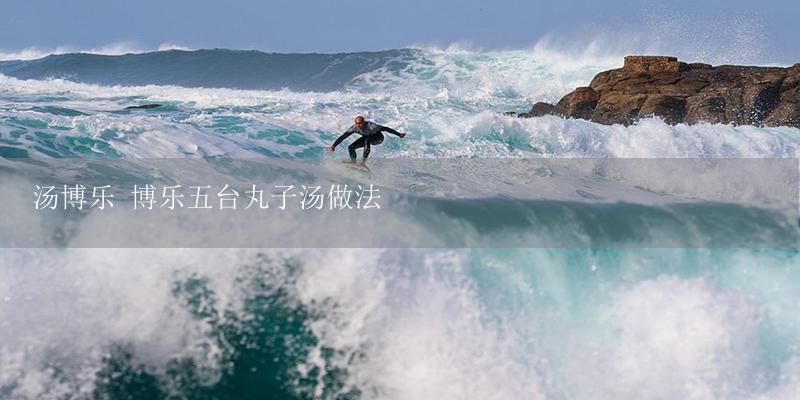 汤博乐 博乐五台丸子汤做法-17攻略