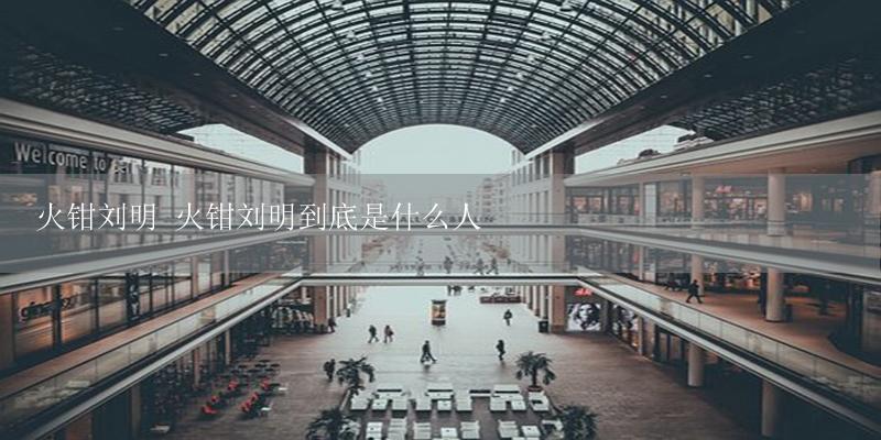 火钳刘明 火钳刘明到底是什么人-17攻略