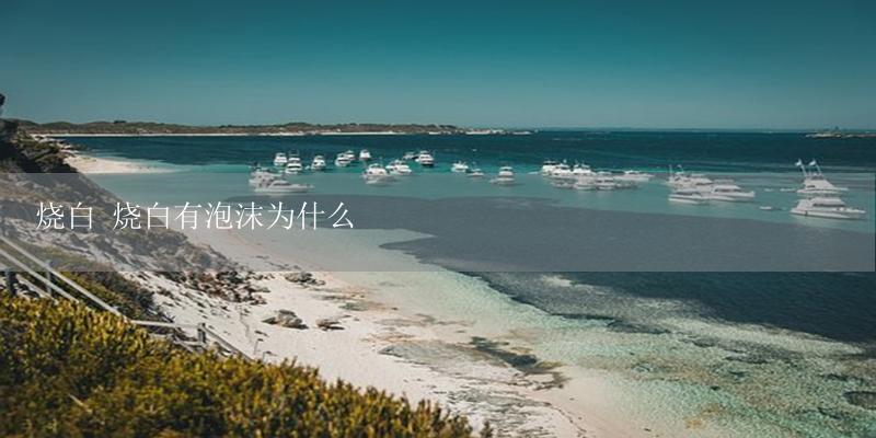 烧白 烧白有泡沫为什么-17攻略
