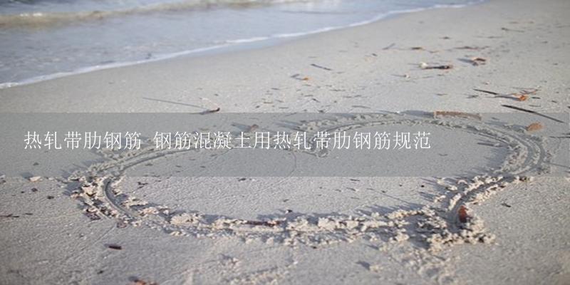 热轧带肋钢筋 钢筋混凝土用热轧带肋钢筋规范-17攻略