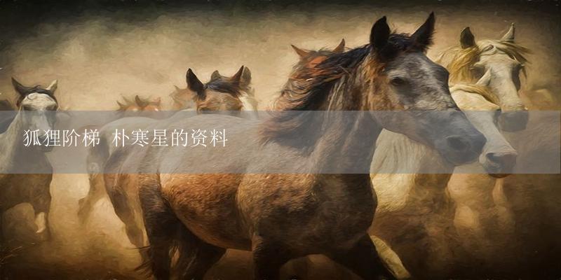 狐狸阶梯 朴寒星的资料-17攻略