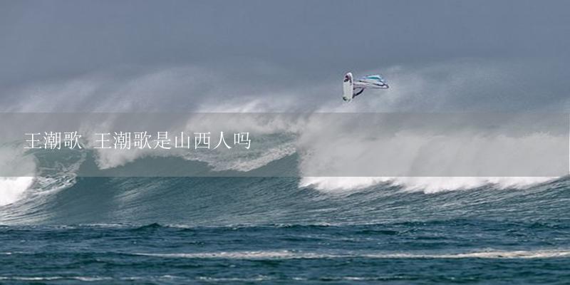 王潮歌 王潮歌是山西人吗-17攻略