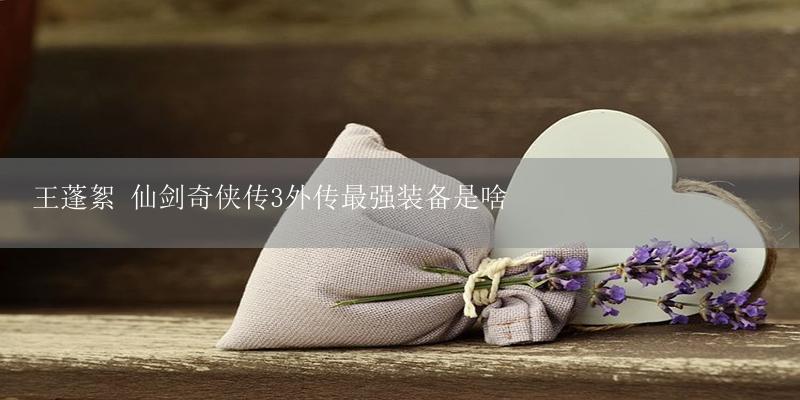 王蓬絮 仙剑奇侠传3外传最强装备是啥-17攻略