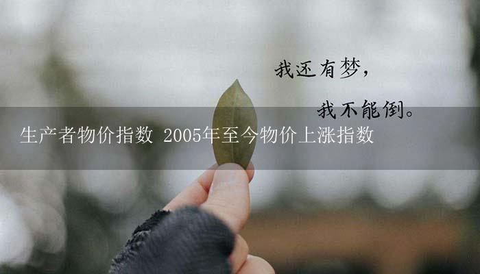 生产者物价指数 2005年至今物价上涨指数-17攻略
