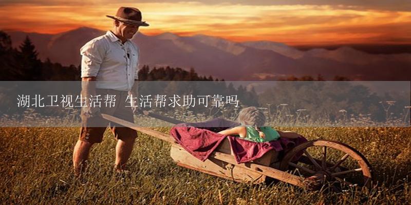 湖北卫视生活帮 生活帮求助可靠吗-17攻略