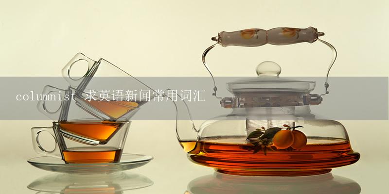 columnist 求英语新闻常用词汇-17攻略