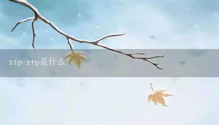 xtp xtp是什么-17攻略