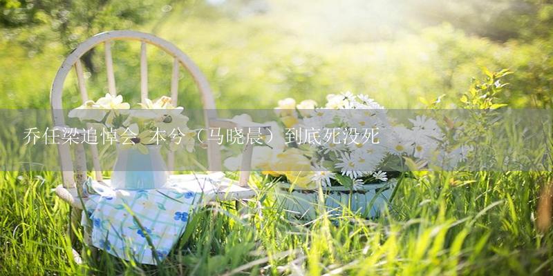乔任梁追悼会 本兮(马晓晨)到底死没死-17攻略