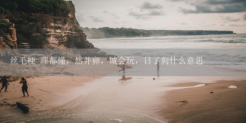 丝毛梗 理都懂,然并卵,城会玩,日了狗什么意思-17攻略