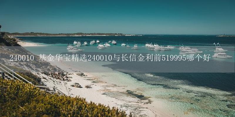 240010 基金华宝精选240010与长信金利前519995哪个好-17攻略