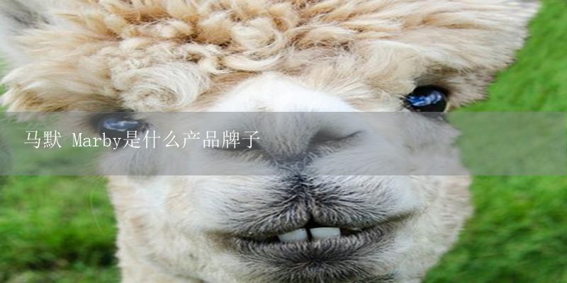 马默 Marby是什么产品牌子-17攻略