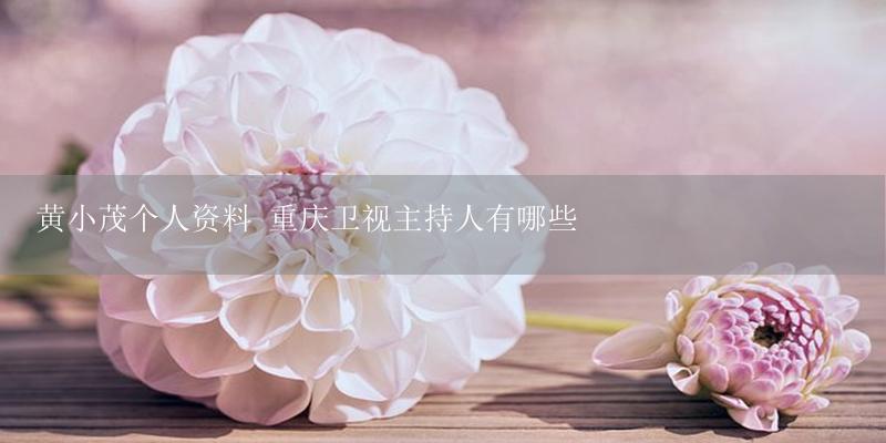 黄小茂个人资料 重庆卫视主持人有哪些-17攻略