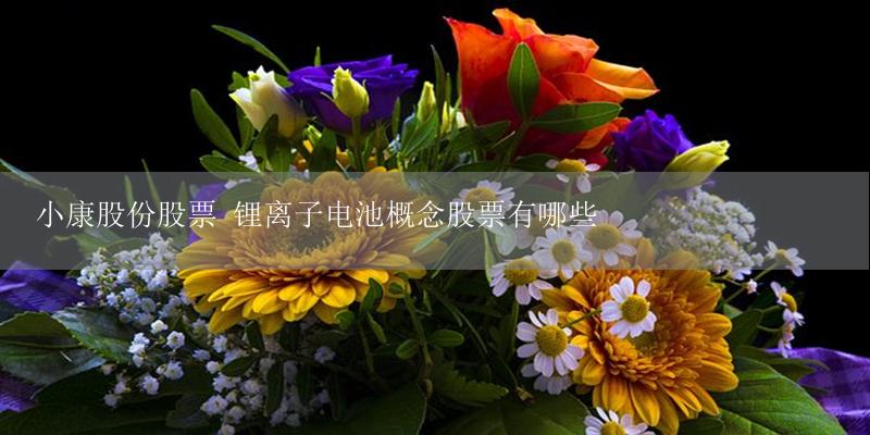 小康股份股票 锂离子电池概念股票有哪些-17攻略