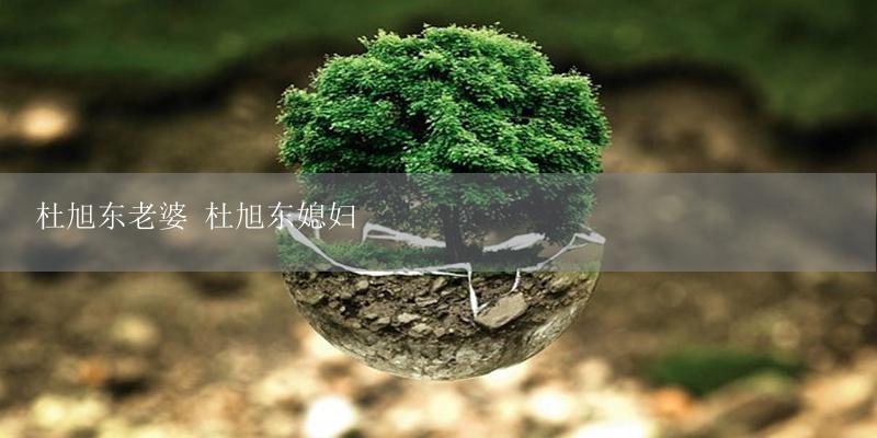 杜旭东老婆 杜旭东媳妇-17攻略
