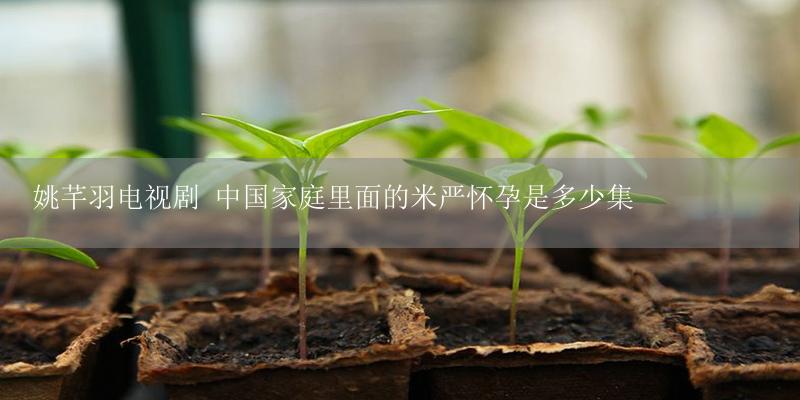 姚芊羽电视剧 中国家庭里面的米严怀孕是多少集-17攻略
