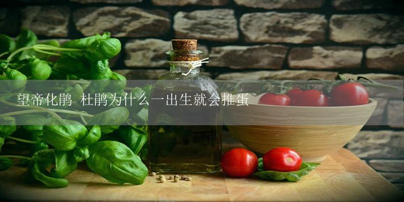 望帝化鹃 杜鹃为什么一出生就会推蛋-17攻略