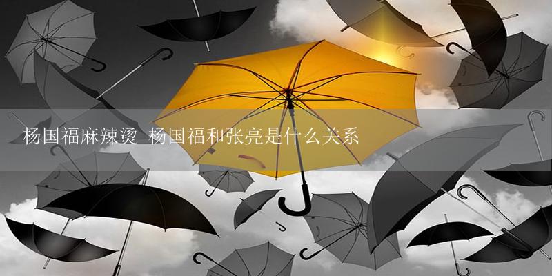 杨国福麻辣烫 杨国福和张亮是什么关系-17攻略