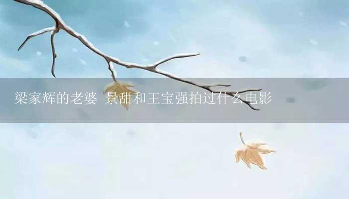 梁家辉的老婆 景甜和王宝强拍过什么电影-17攻略
