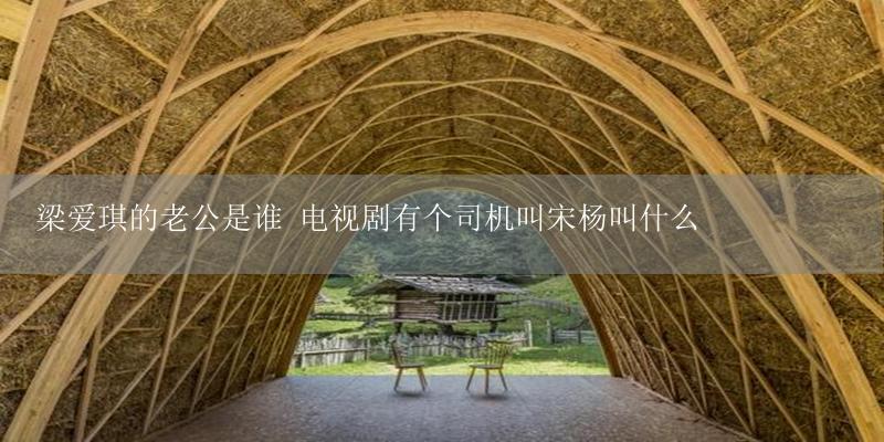 梁爱琪的老公是谁 电视剧有个司机叫宋杨叫什么-17攻略