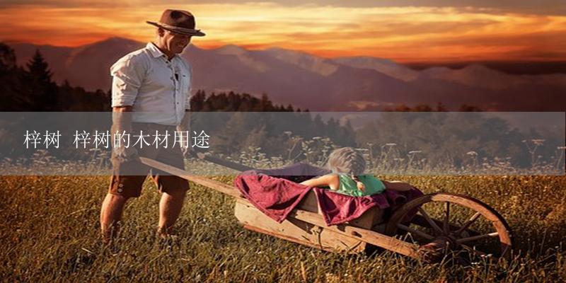 梓树 梓树的木材用途-17攻略