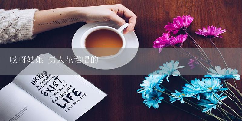 哎呀姑娘 男人花谁唱的-17攻略