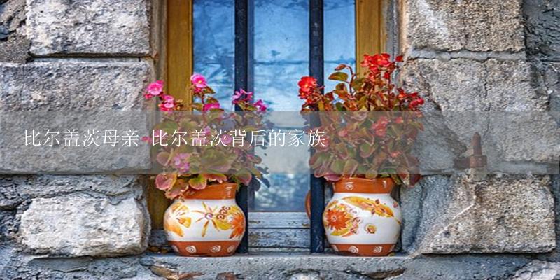 比尔盖茨母亲 比尔盖茨背后的家族-17攻略