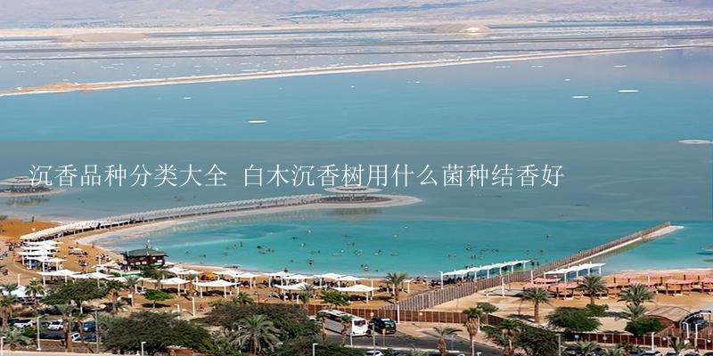 沉香品种分类大全 白木沉香树用什么菌种结香好-17攻略