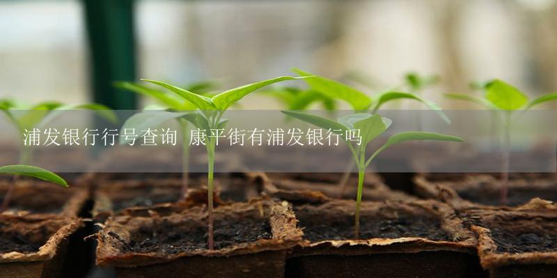 浦发银行行号查询 康平街有浦发银行吗-17攻略