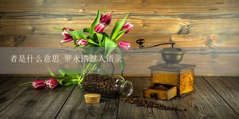 者是什么意思 罗永浩怼人语录-17攻略