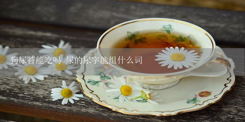 狗尿苔能吃吗 尿的尿字能组什么词-17攻略