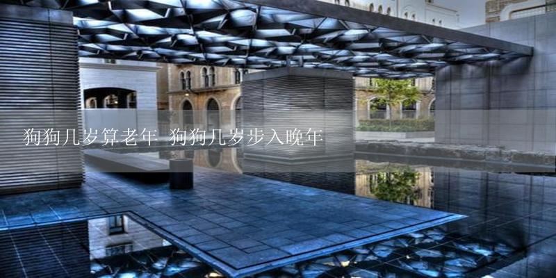 狗狗几岁算老年 狗狗几岁步入晚年-17攻略
