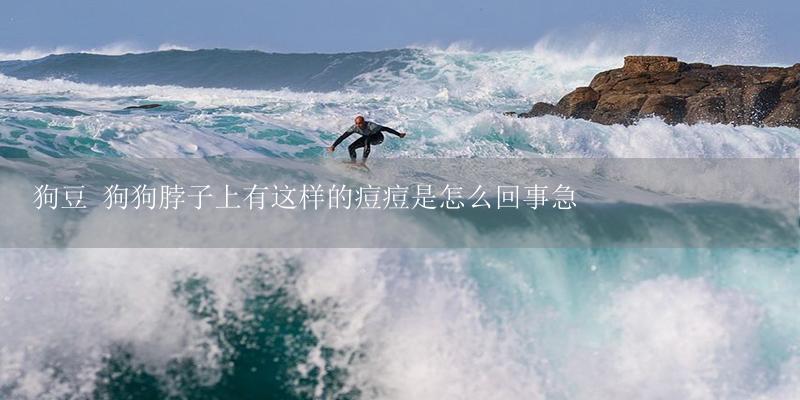 狗豆 狗狗脖子上有这样的痘痘是怎么回事急-17攻略
