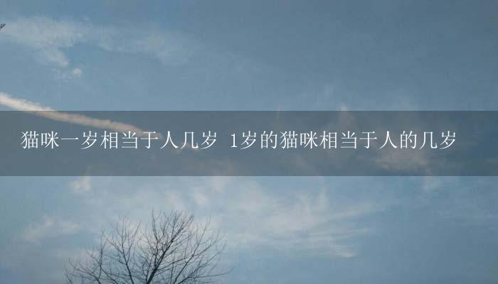 猫咪一岁相当于人几岁 1岁的猫咪相当于人的几岁-17攻略