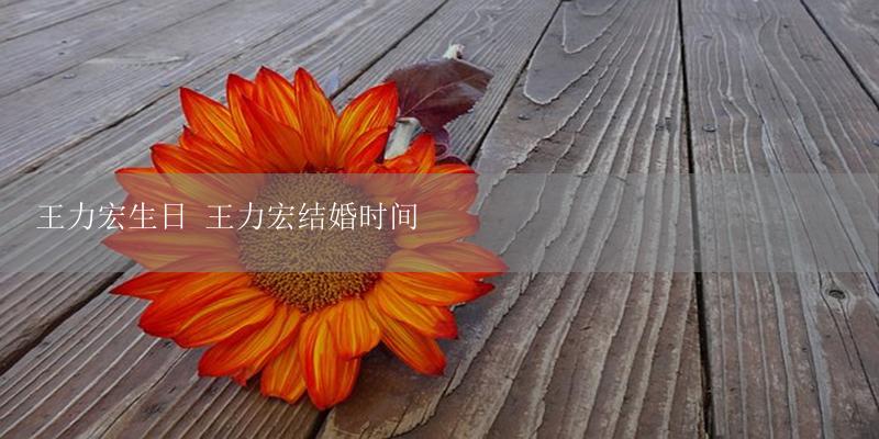 王力宏生日 王力宏结婚时间-17攻略