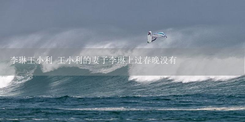 李琳王小利 王小利的妻子李琳上过春晚没有-17攻略