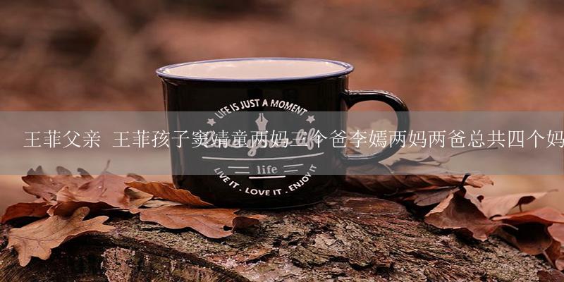 王菲父亲 王菲孩子窦靖童两妈三个爸李嫣两妈两爸总共四个妈三个爸真是传奇-17攻略