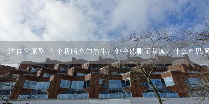 沈佳宜原型 有个我暗恋的男生,他突然删了我QQ,什么意思啊-17攻略
