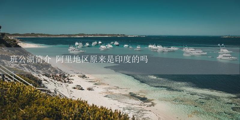 班公湖简介 阿里地区原来是印度的吗-17攻略